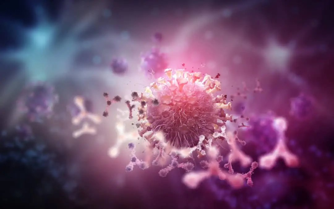 Viruses are not our enemies
