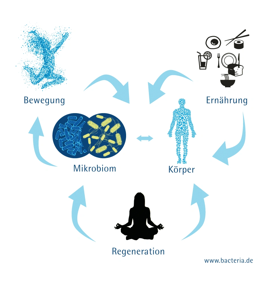 grafik-magno-gesundheit-Kopie